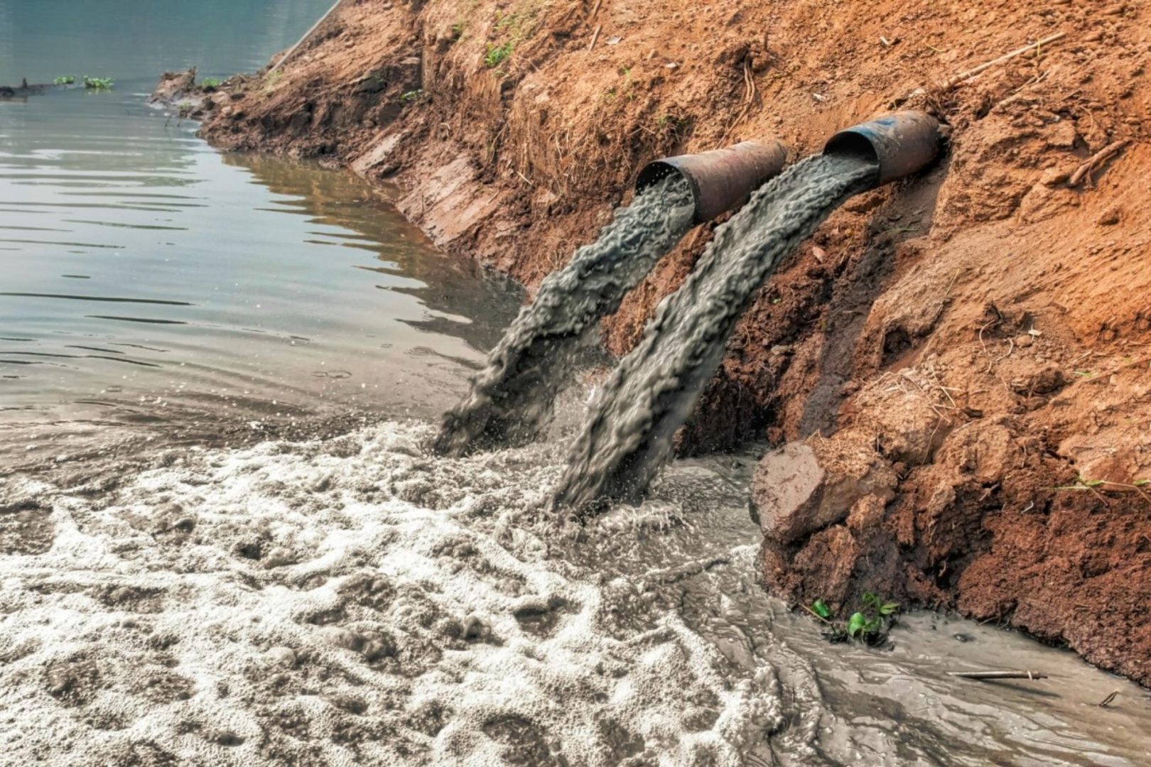 Two pipes sticking out of land, spilling muddy and murky liquid into a body of water.