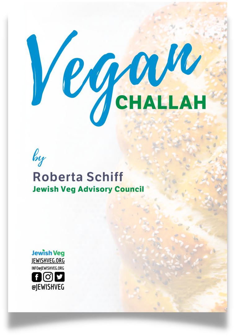 The cover of the Vegan Challah Recipe Booklet, featuring blue and green text reading 